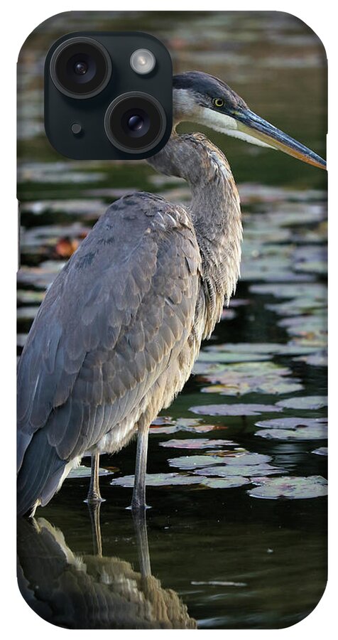 Great Blue Heron iPhone Case featuring the photograph The Watcher by Doris Potter