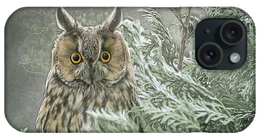 Long Eared Owl iPhone Case featuring the photograph The watcher in the mist by Brian Tarr
