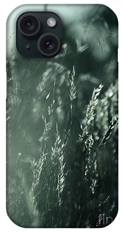 Grass iPhone Case featuring the photograph The Wind Cries Mary by Linda Lees