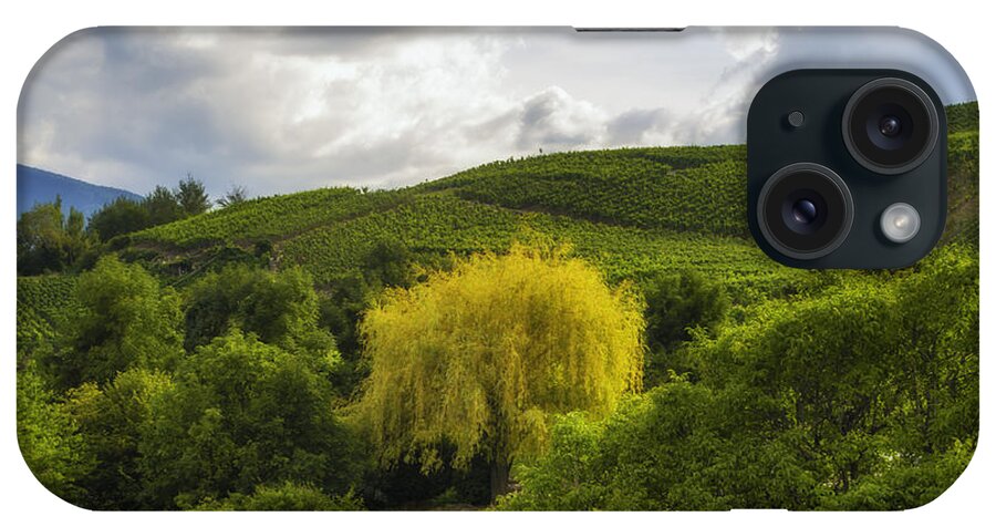Michelle Meenawong iPhone Case featuring the photograph the wineyards of Loc by Michelle Meenawong