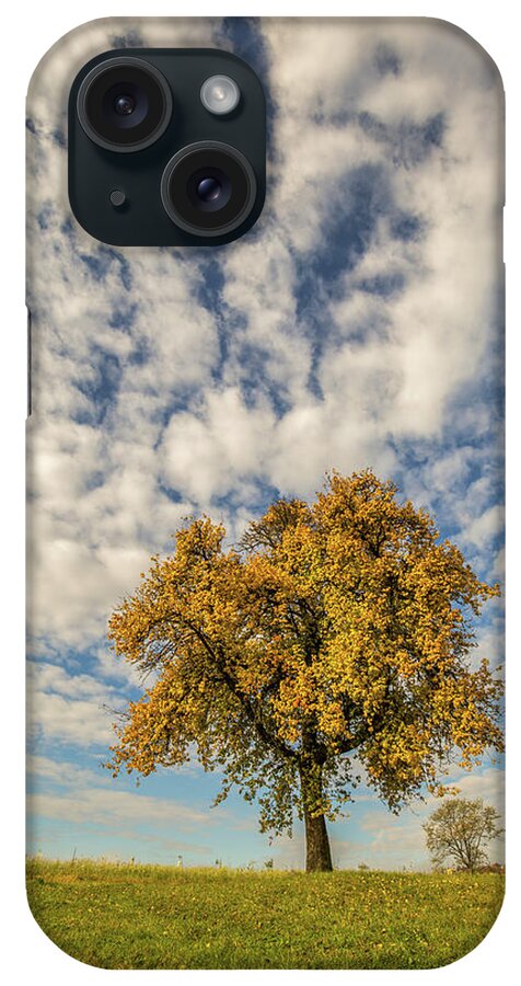Landscape iPhone Case featuring the photograph The yellow tree by Davorin Mance