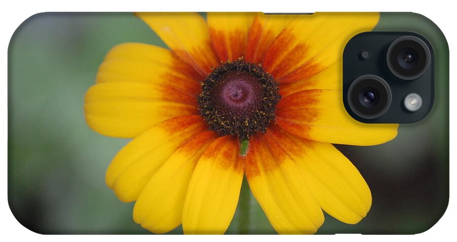 Landscape iPhone Case featuring the photograph They call me mellow yellow. by David Lane
