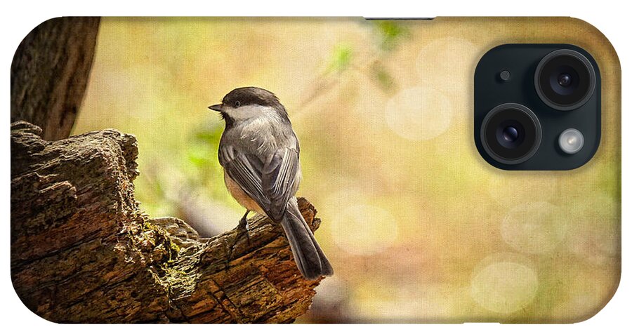 Bird iPhone Case featuring the photograph Thinking of Spring by Lois Bryan