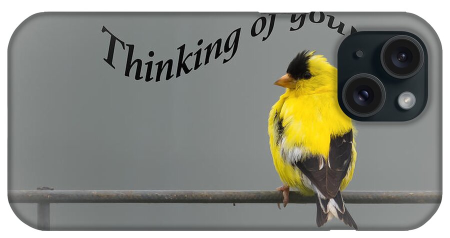 Thinking Of You iPhone Case featuring the photograph Thinking of you - American Goldfinch by Holden The Moment