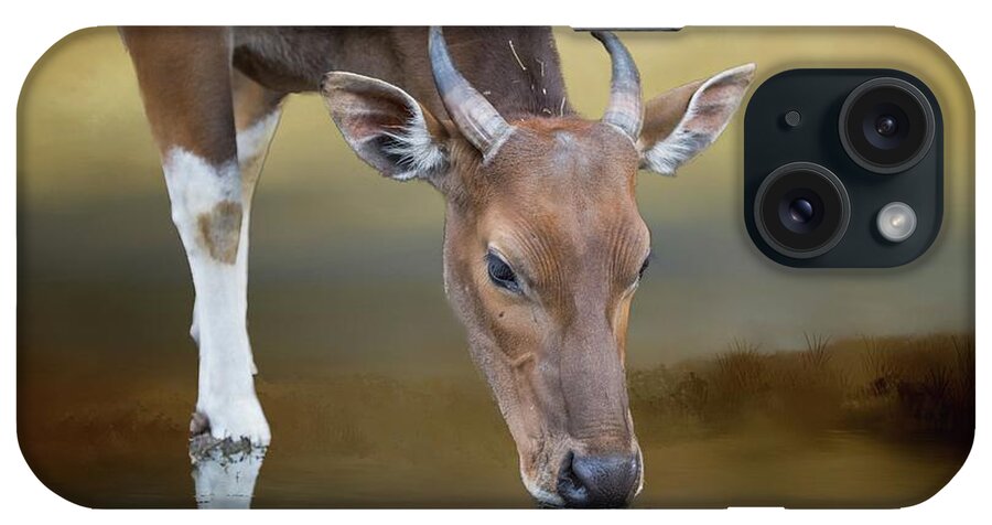 Banteng iPhone Case featuring the photograph Thirsty by Eva Lechner