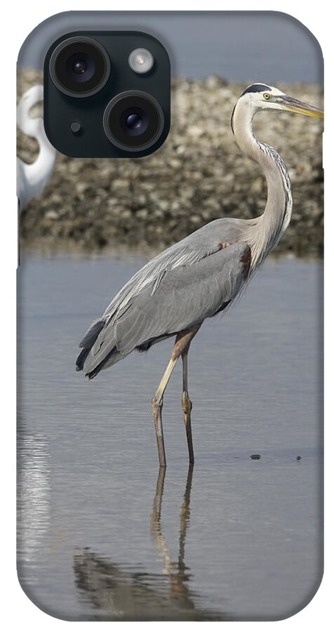 Egret iPhone Case featuring the photograph This Is My Space by Deborah Benoit