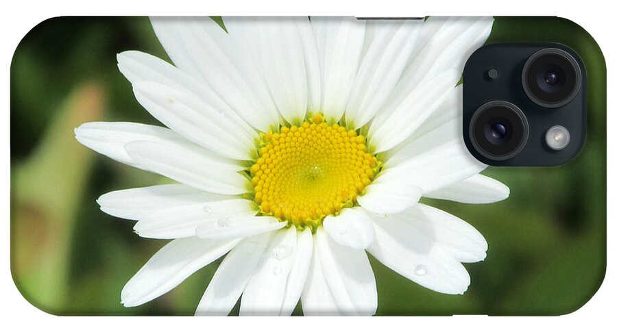 Victor Montgomery iPhone Case featuring the photograph This Is Spring by Vic Montgomery