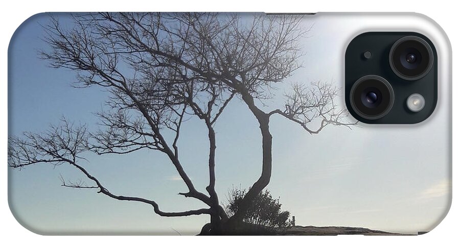 Tree iPhone Case featuring the photograph This Tree Rocks by Lori Lafargue