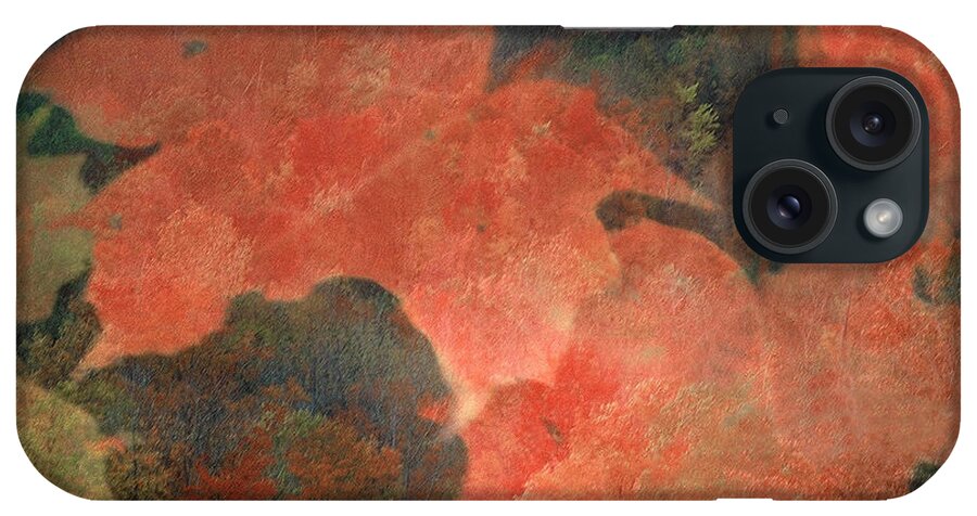 Fall Leaves iPhone Case featuring the photograph Thornbury by DArcy Evans
