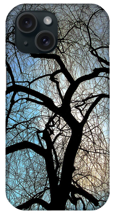 Guy Ricketts Art And Photography iPhone Case featuring the photograph Those Gnarled Branches by Guy Ricketts
