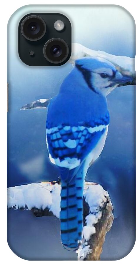 Bluejay iPhone Case featuring the photograph Three Bluejays in Winter by Janette Boyd