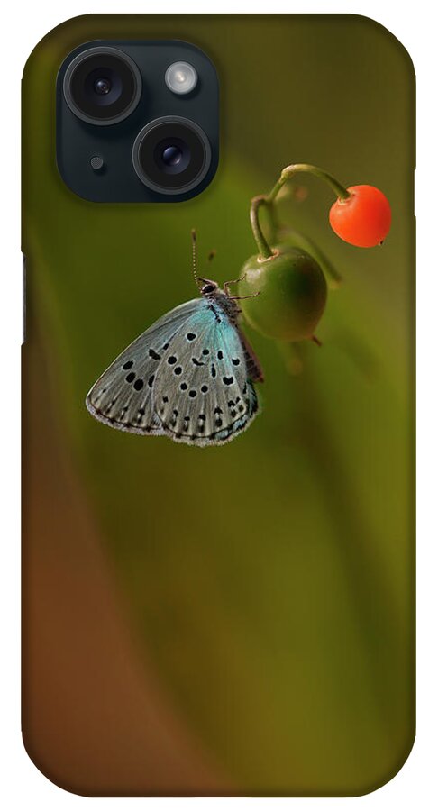 Macro iPhone Case featuring the photograph Three colours by Jaroslaw Blaminsky