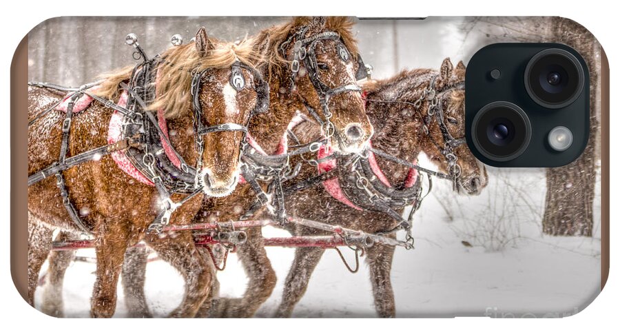 Horses iPhone Case featuring the photograph Three Horses - Color by Rod Best