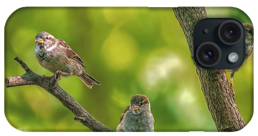 Birds iPhone Case featuring the photograph Three Little Sparrows by Cathy Kovarik