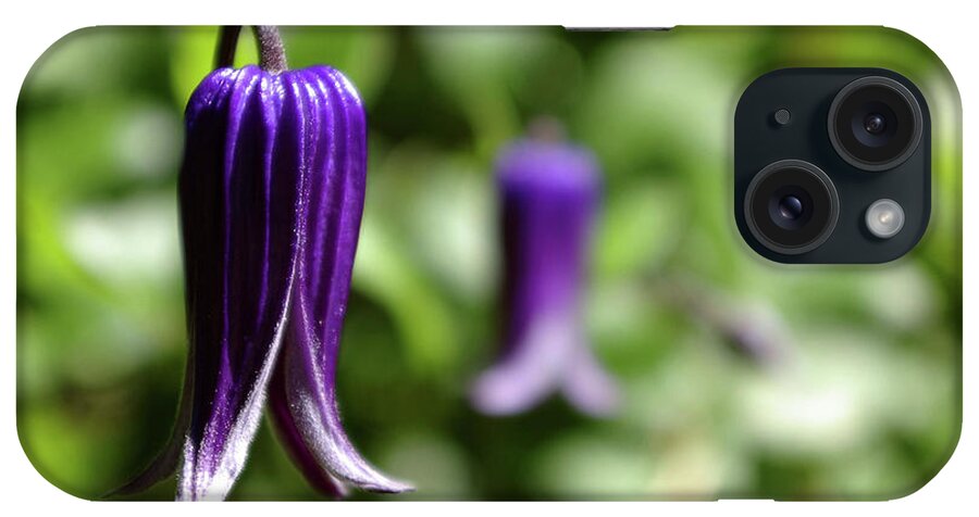 Anther iPhone Case featuring the photograph Three Purple Flowers- Leech Botanical Garden by Rick Bures