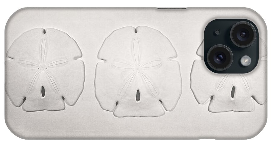 Scott Norris Photography iPhone Case featuring the photograph Three Sand Dollars by Scott Norris