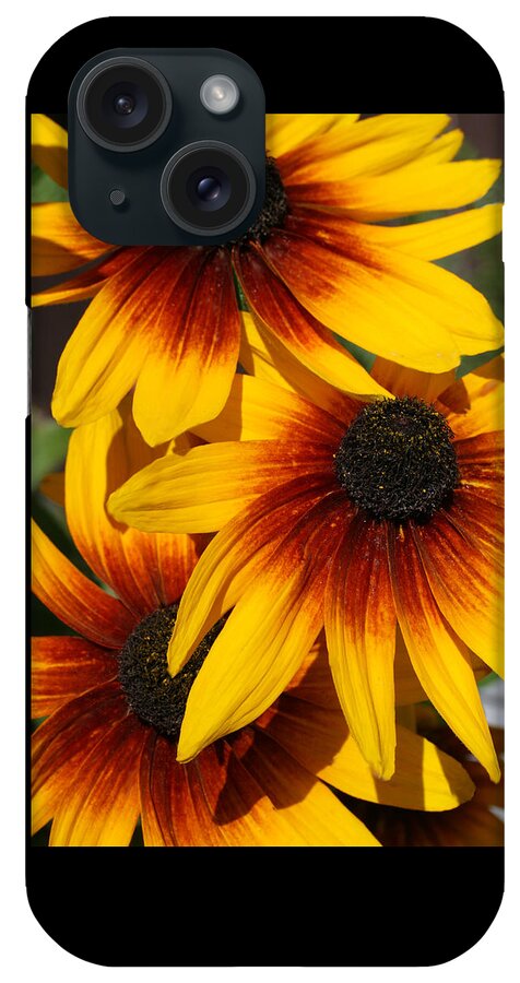Gaillardia iPhone Case featuring the photograph Three Sisters by Tammy Pool