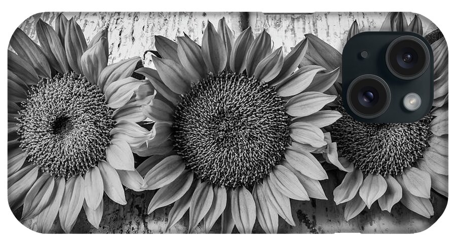 Mood iPhone Case featuring the photograph Three Sunflowers Still Life In Black And White by Garry Gay