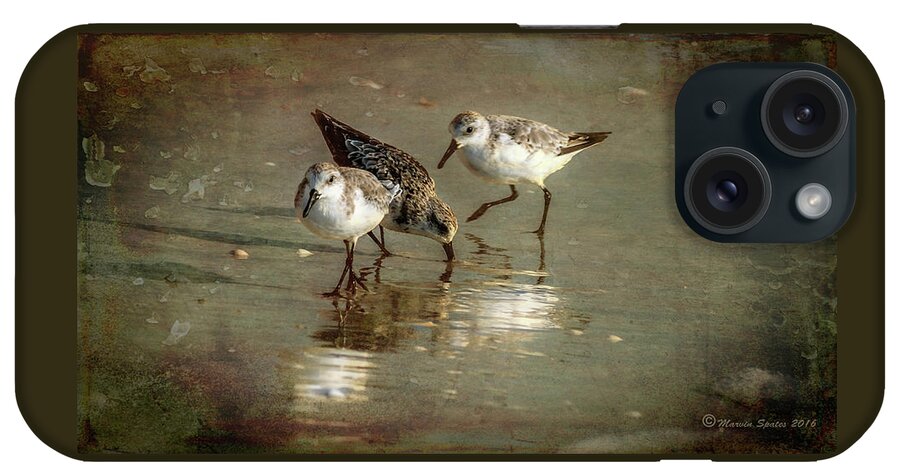 Birds iPhone Case featuring the photograph Three Together by Marvin Spates
