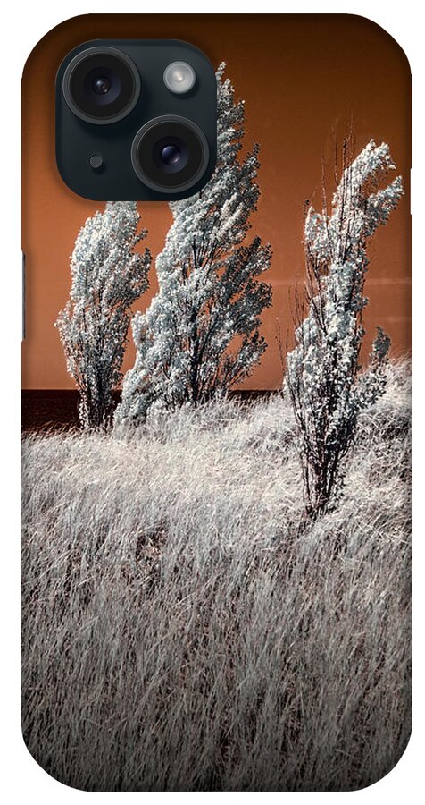 Dune iPhone Case featuring the photograph Three Trees in Infrared on top of a Grassy Dune by Randall Nyhof
