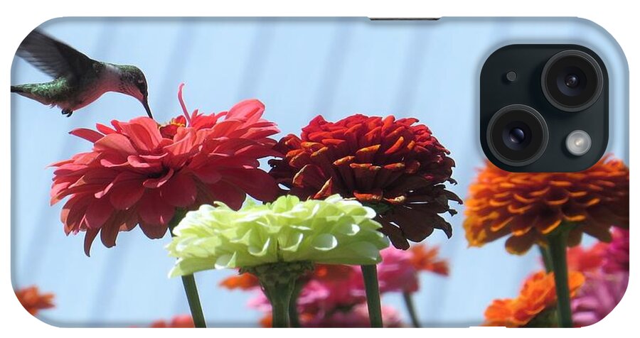 Humming Bird iPhone Case featuring the photograph Thristy Hummer by Jeanette Oberholtzer