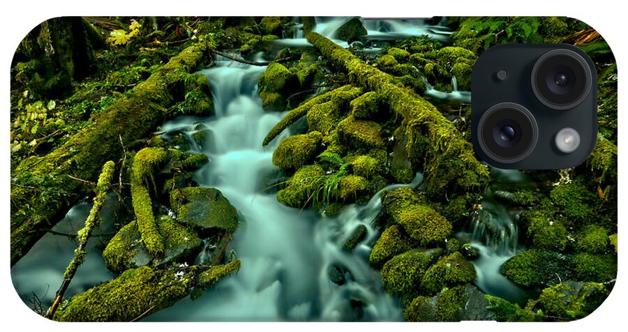 Olympic National Park iPhone Case featuring the photograph Through Moss Covered Boulders And Logs by Adam Jewell