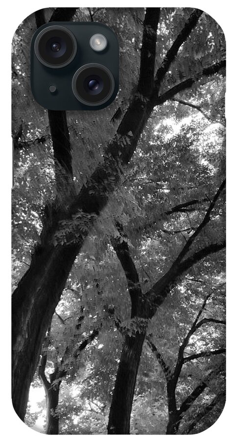 Trees iPhone Case featuring the photograph Through The Trees by Britten Adams