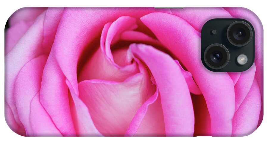 Flower iPhone Case featuring the photograph Tickled Pink by Linda Lees