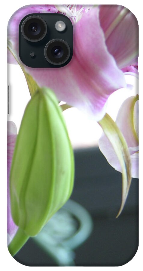 Photography iPhone Case featuring the photograph Tiger Lily bud by Julianne Felton