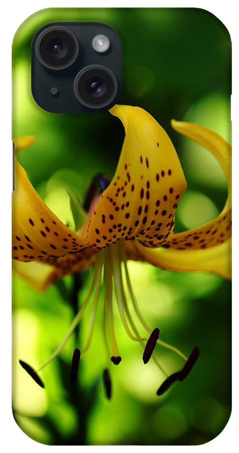 Tiger Lily iPhone Case featuring the photograph Tiger Lily by Debbie Oppermann