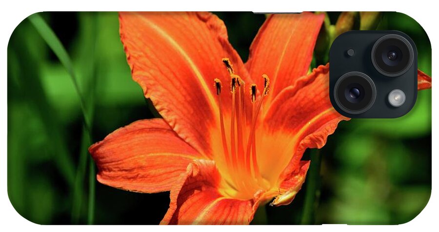 Abstract iPhone Case featuring the photograph Tiger Lily on July 5-2017 by Lyle Crump