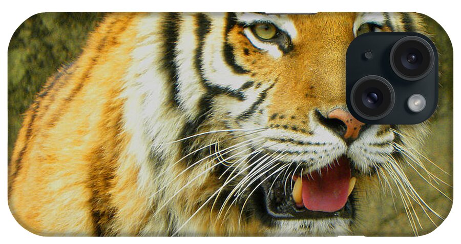 Tiger iPhone Case featuring the photograph Tiger Stare by Sandi OReilly