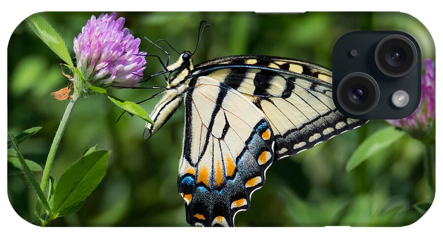 Tiger Swallowtail Butterfly iPhone Case featuring the photograph Tiger Swallowtail Butterfly by Holden The Moment