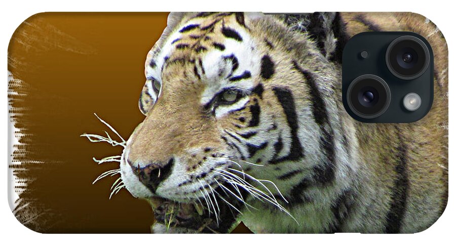 Art iPhone Case featuring the photograph Tiger by T Guy Spencer