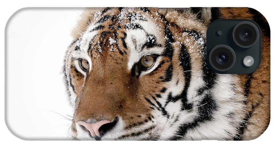 Tiger iPhone Case featuring the photograph Tiger Up Close by Athena Mckinzie