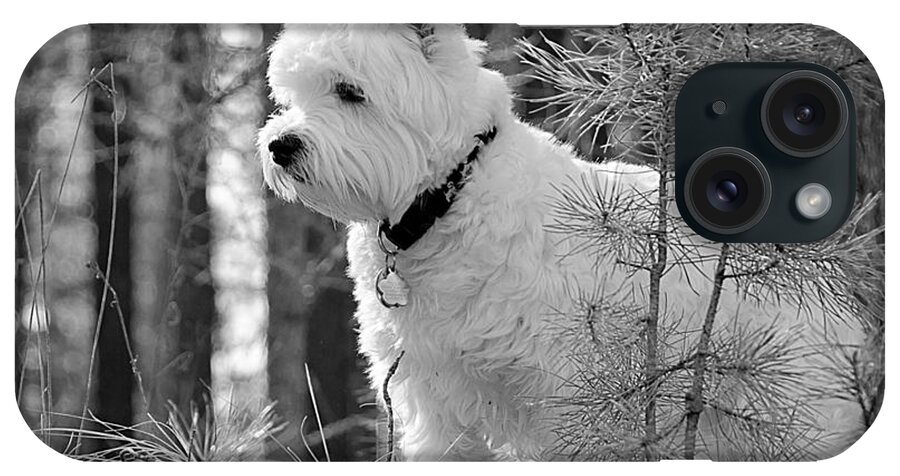 Animal iPhone Case featuring the photograph Tillie in black and white by Debra Baldwin