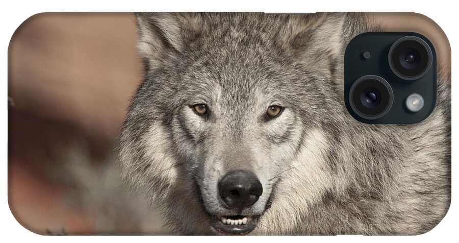 Wolves iPhone Case featuring the photograph Timber Wolf Portrait by Sandra Bronstein