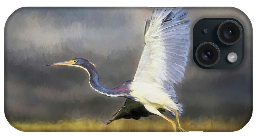 Tricoloured Heron iPhone Case featuring the photograph Time To Go by Donna Kennedy