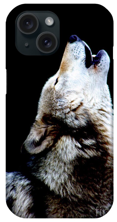 Wolf iPhone Case featuring the photograph Time to Howl by Nick Gustafson