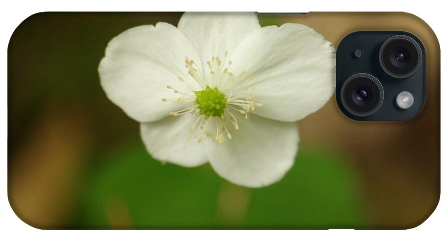 Flower iPhone Case featuring the photograph Tiny Button by Jeff Swan