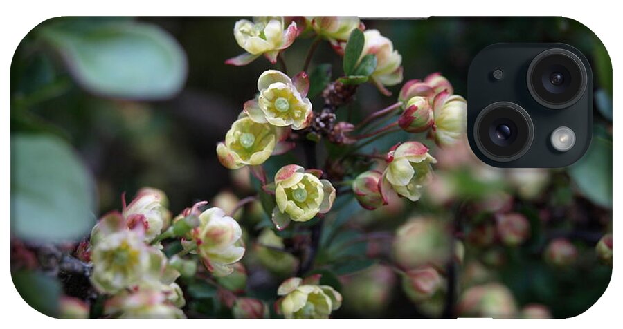 Shrub iPhone Case featuring the photograph Tiny flowers by Richard Brookes