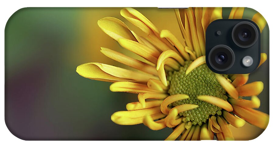 Chrysanthemum iPhone Case featuring the photograph Tiny Miracles by Vanessa Thomas