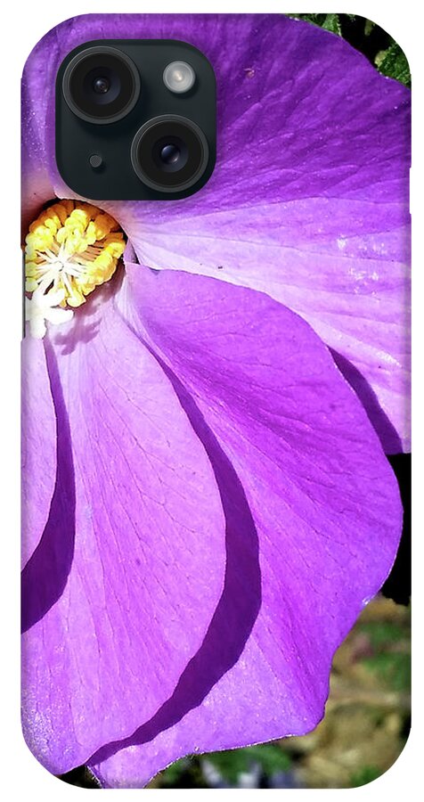 Purple iPhone Case featuring the photograph Tiny Purple Flower by Barbara J Blaisdell