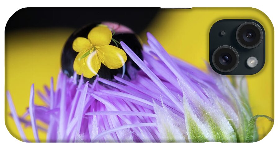 Laowa 60mm iPhone Case featuring the photograph Tiny Reflection by Tracy Munson