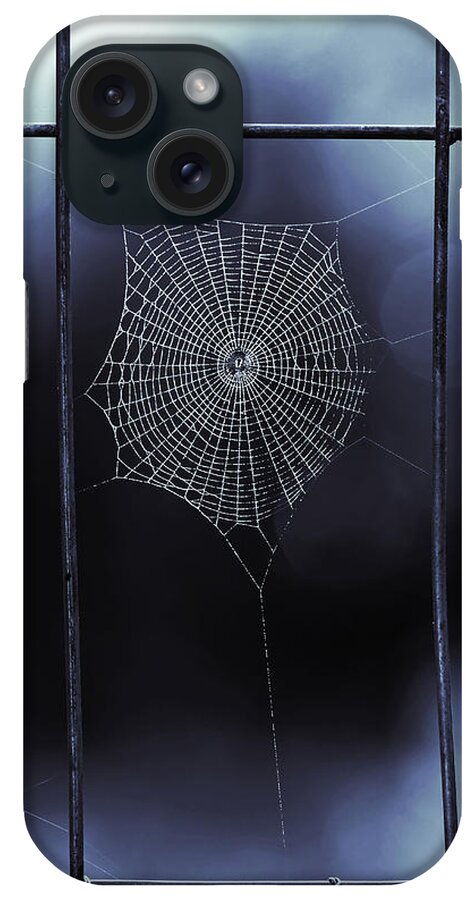 Blue Spider Web iPhone Case featuring the photograph Tiny Spider Web in Blue by Brooke T Ryan