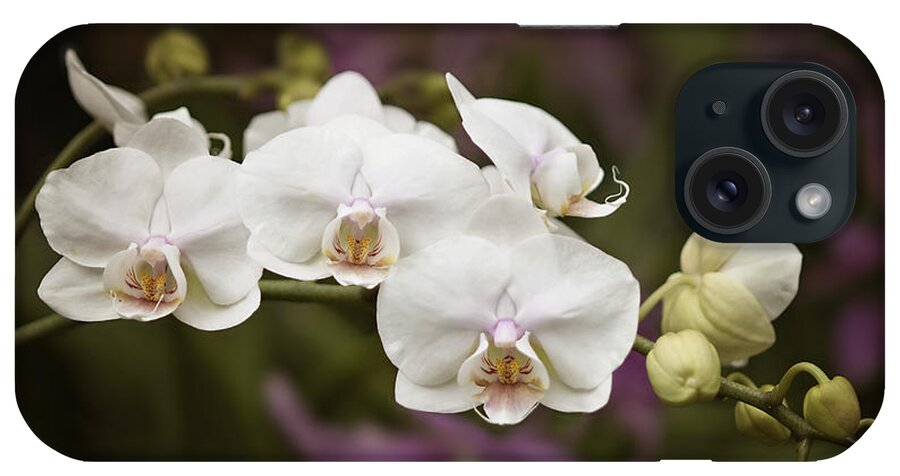 Orchid iPhone Case featuring the photograph Tiny White Dancers by Jill Love
