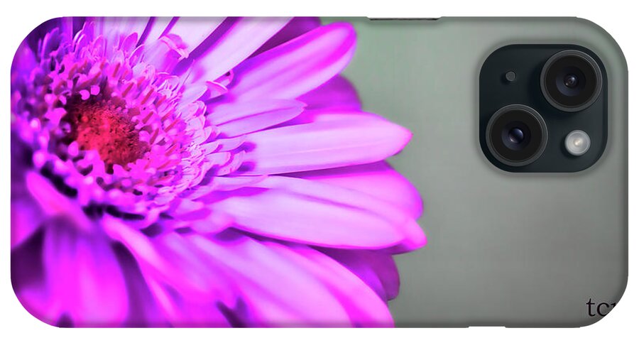 Purple iPhone Case featuring the photograph To the World by Traci Cottingham