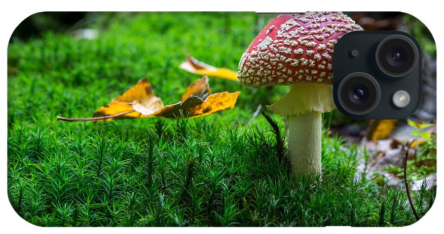 Toadstool iPhone Case featuring the photograph Toadstool by Andreas Levi