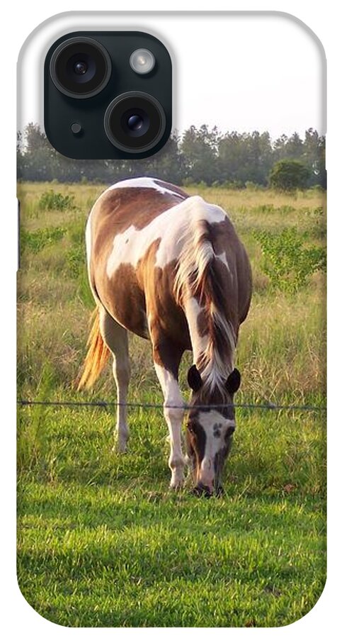 Horse iPhone Case featuring the photograph Tobiano Horse in Field by Brandy Woods