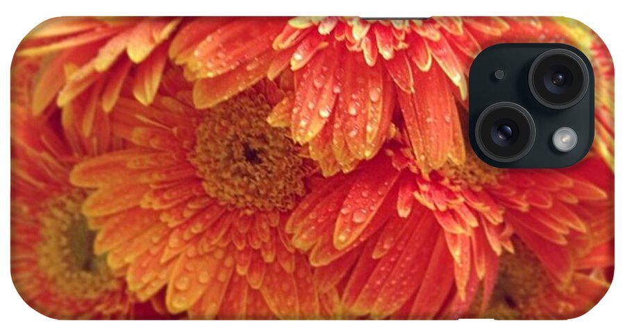 Flower iPhone Case featuring the photograph Today's Flower. Bright Orange Give Me by Yuka Miura